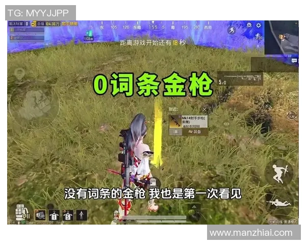 和平精英纪实：记录BLG的逆袭之旅